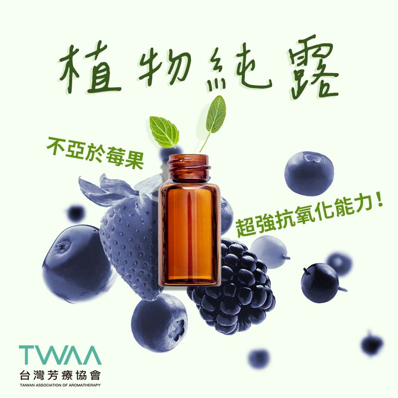 肌膚美的秘密武器：純露，不只是化妝水更是抗氧化的奇蹟之水！