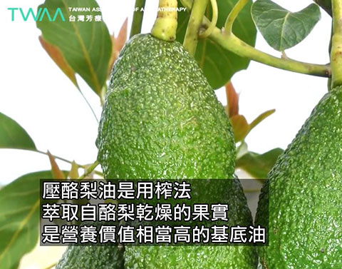 酪梨油 Avocado Oil．酪梨油是營養價值極高的基底油