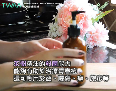 芳療DIY系列 自製抗痘洗面乳．茶樹精油可以殺菌