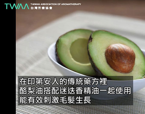 酪梨油 Avocado Oil．還能夠用來保養頭髮