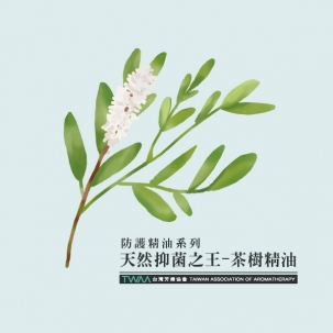 防疫精油系列 天然抑菌之王—茶樹精油