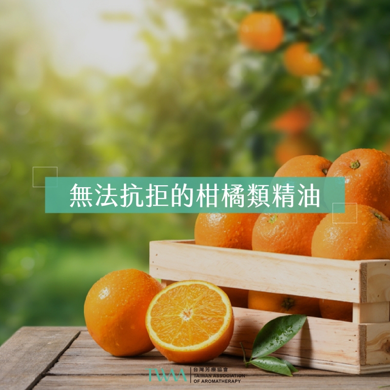 無法抗拒的柑橘類精油