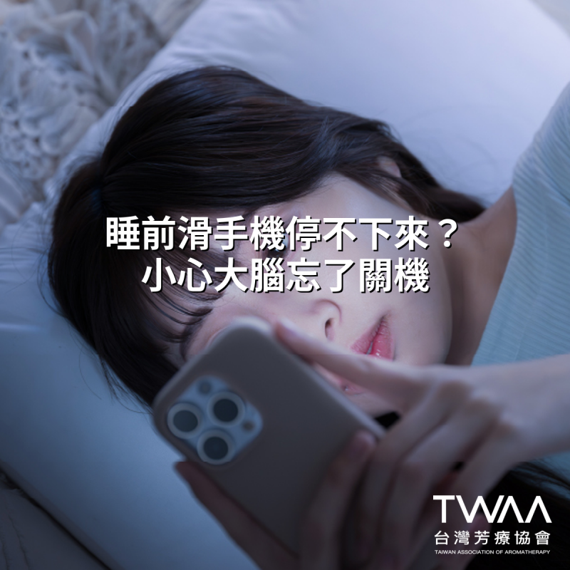 《2026/08/31 媒體報導》每天滑手機到失眠？芳療師揭秘「數位排毒」必備的3款精油，找回深度睡眠