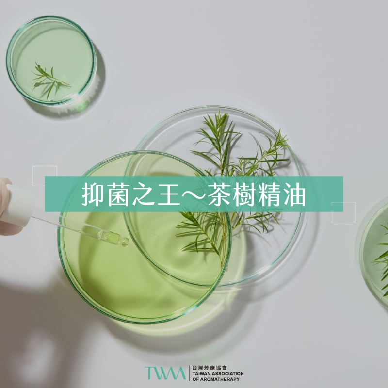 抑菌之王～茶樹精油