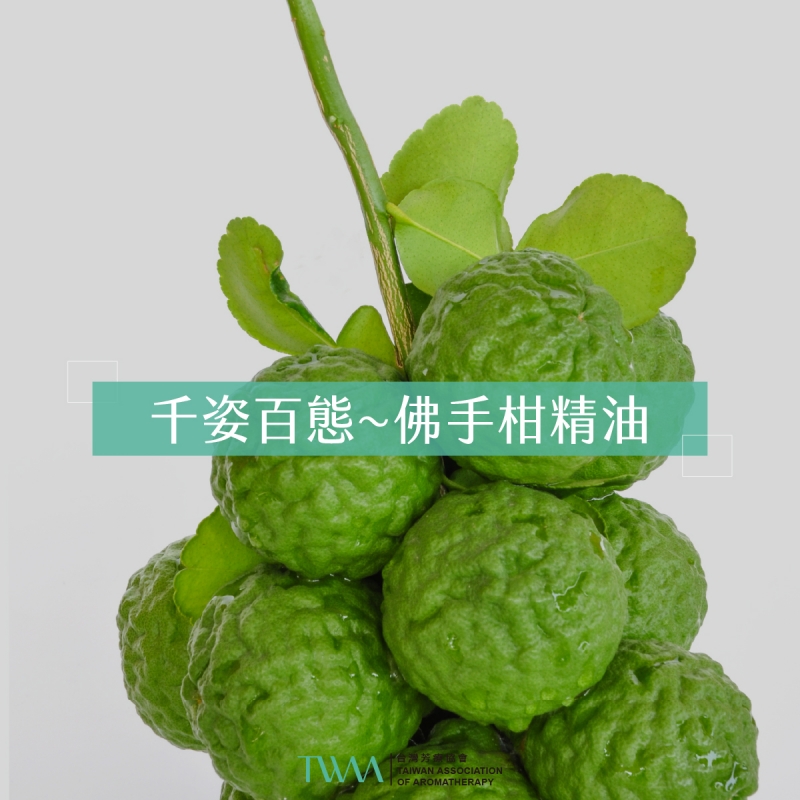 千姿百態~佛手柑精油