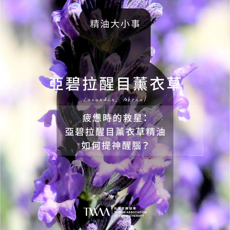 疲憊時的救星：亞碧拉醒目薰衣草精油如何提神醒腦？