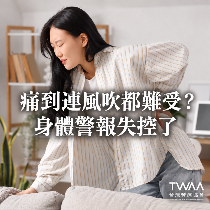《2026/07/29 媒體報導》痛到連風吹都難受？解碼纖維肌痛症，用植物溫柔安撫失控的身體警報