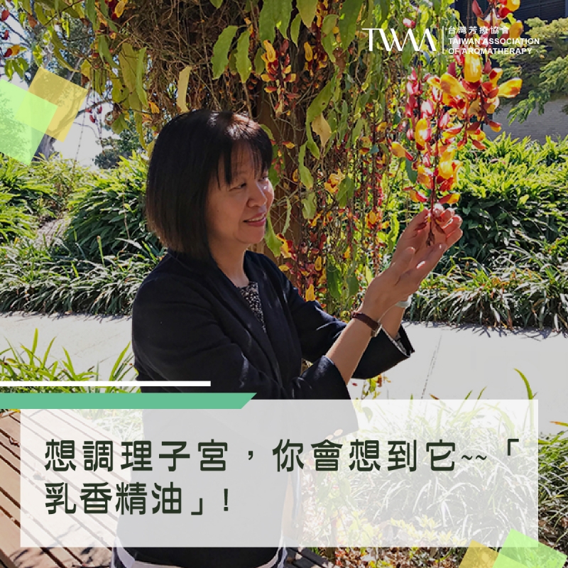 夏日蚊蟲好討厭 ! 「窮人的玫瑰-天竺葵」可以讓蚊蟲不再煩你?! 還可以順便對抗憂鬱、經前症候群? !