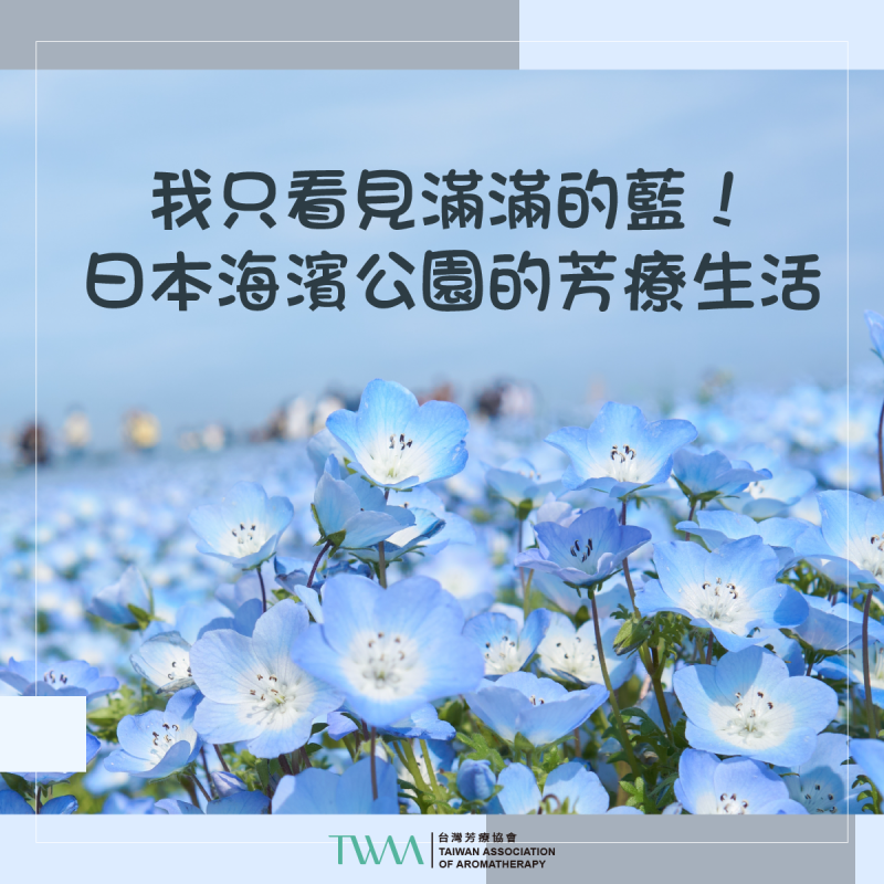 ​我只看見滿滿的藍！日本海濱公園的芳療生活