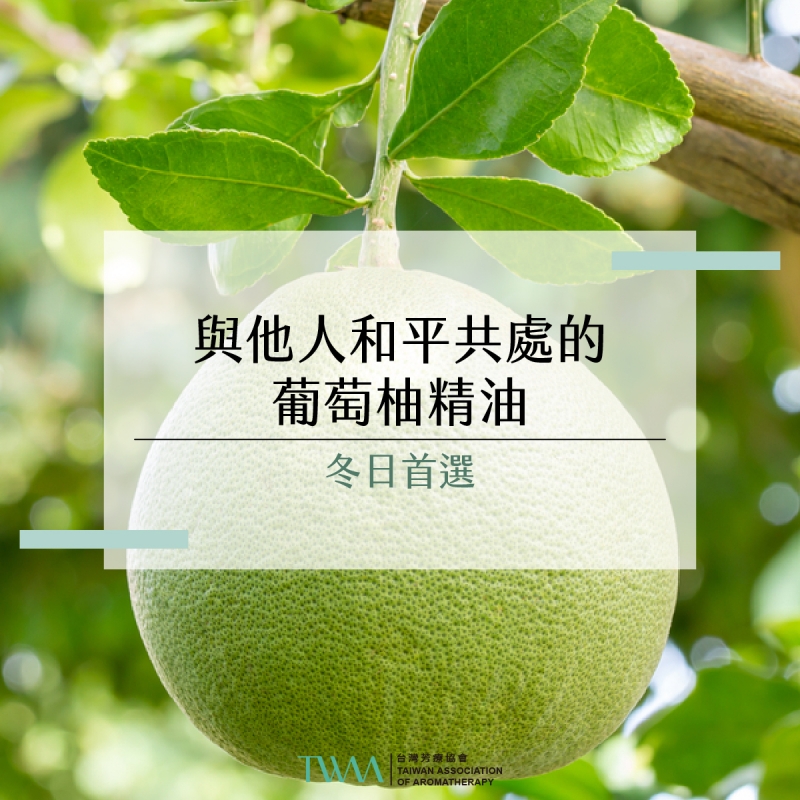 冬日首選：與他人和平共處的葡萄柚精油