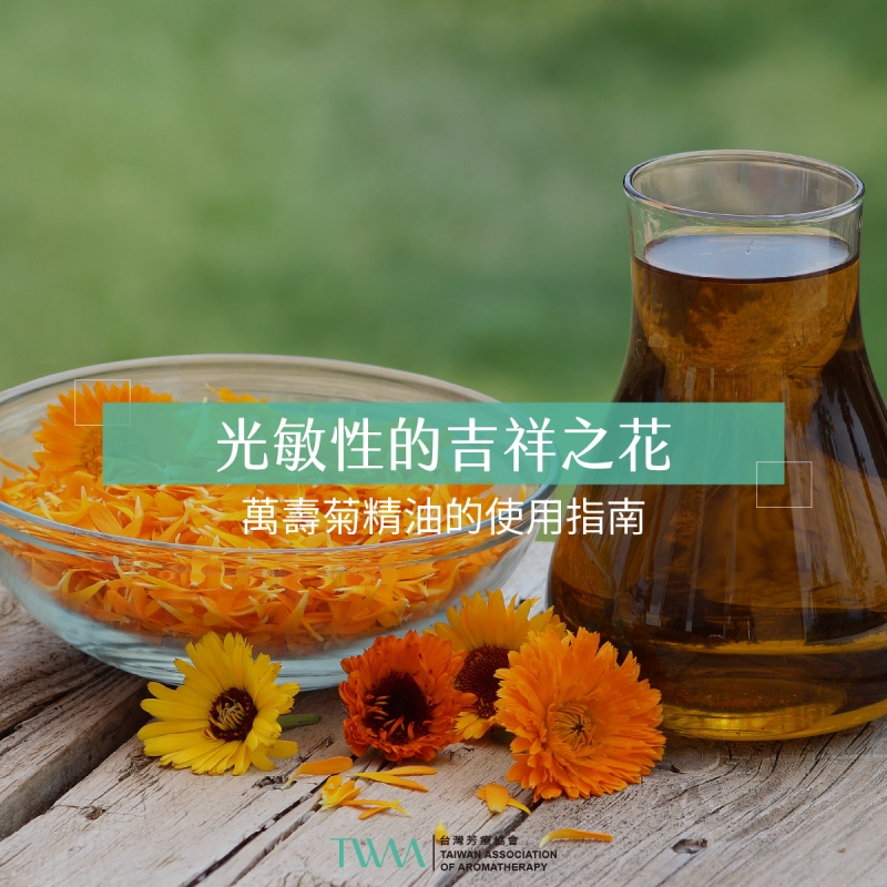 光敏性的吉祥之花：萬壽菊精油的使用指南