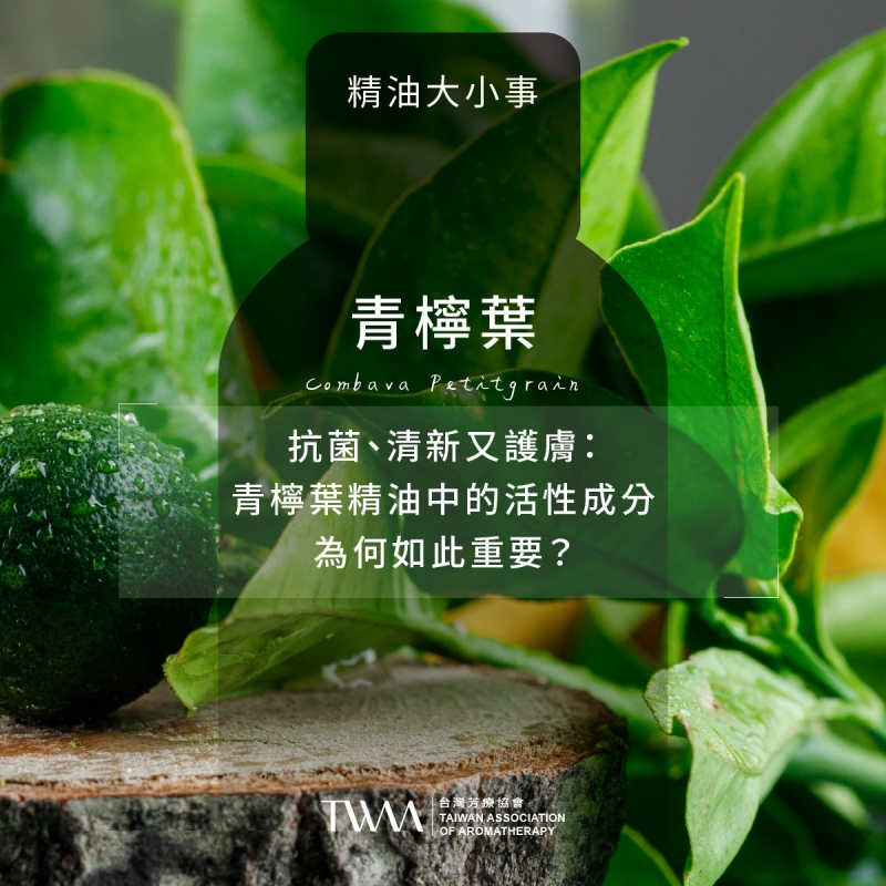 抗菌、清新又護膚：青檸葉精油中的活性成分為何如此重要？