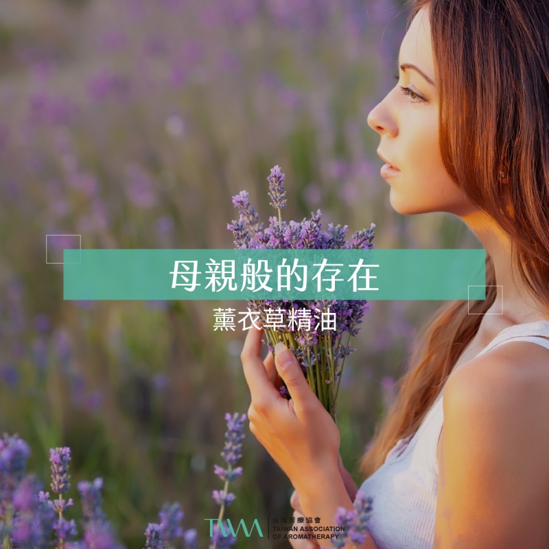 母親般的存在～薰衣草精油