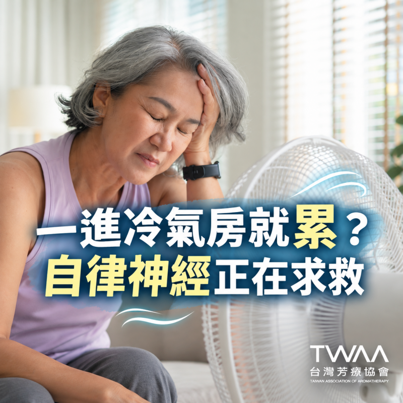 《2026/06/15 媒體報導》頻繁進出冷氣房讓你越睡越累？一滴植物精油，為失衡的自律神經溫柔「降溫」