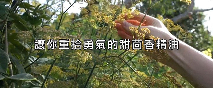 讓你重拾勇氣的 甜茴香精油