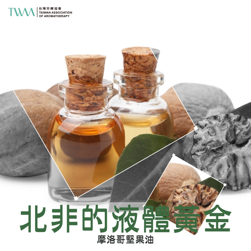 北非的液體黃金 摩洛哥堅果油