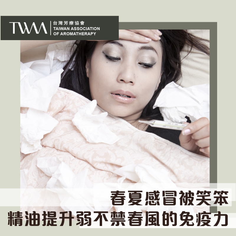 春夏感冒被笑笨，精油提升弱不禁春風的免疫力