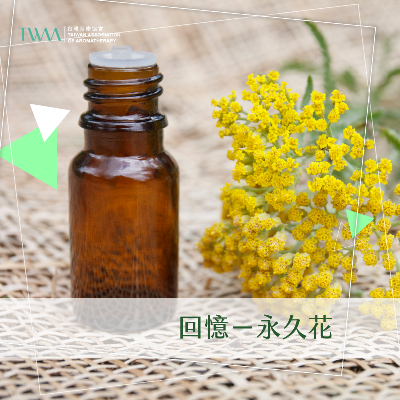 回憶－永久花/精油心情故事