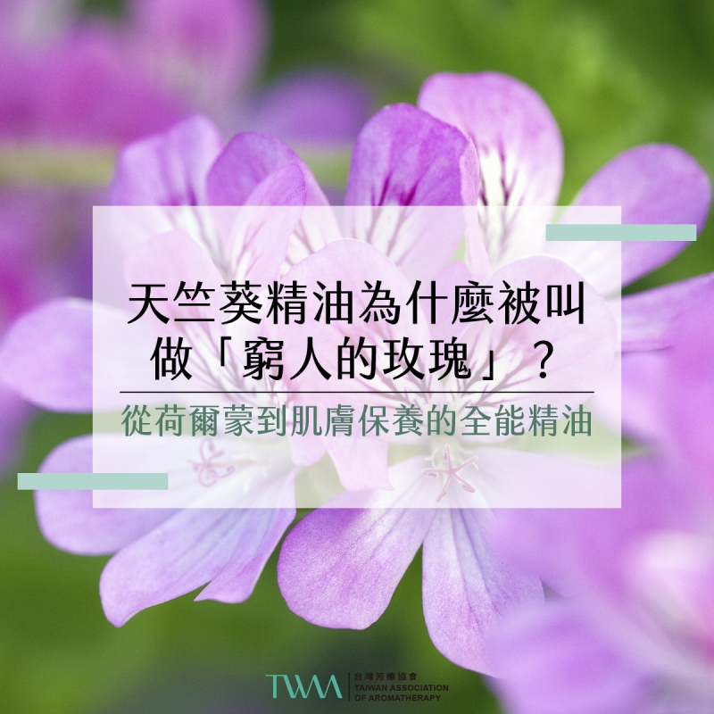 天竺葵精油為什麼被叫做「窮人的玫瑰」？從荷爾蒙到肌膚保養的全能精油