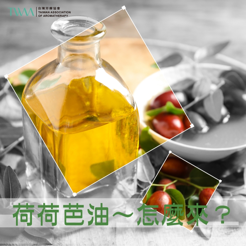 荷荷芭油～怎麼來？