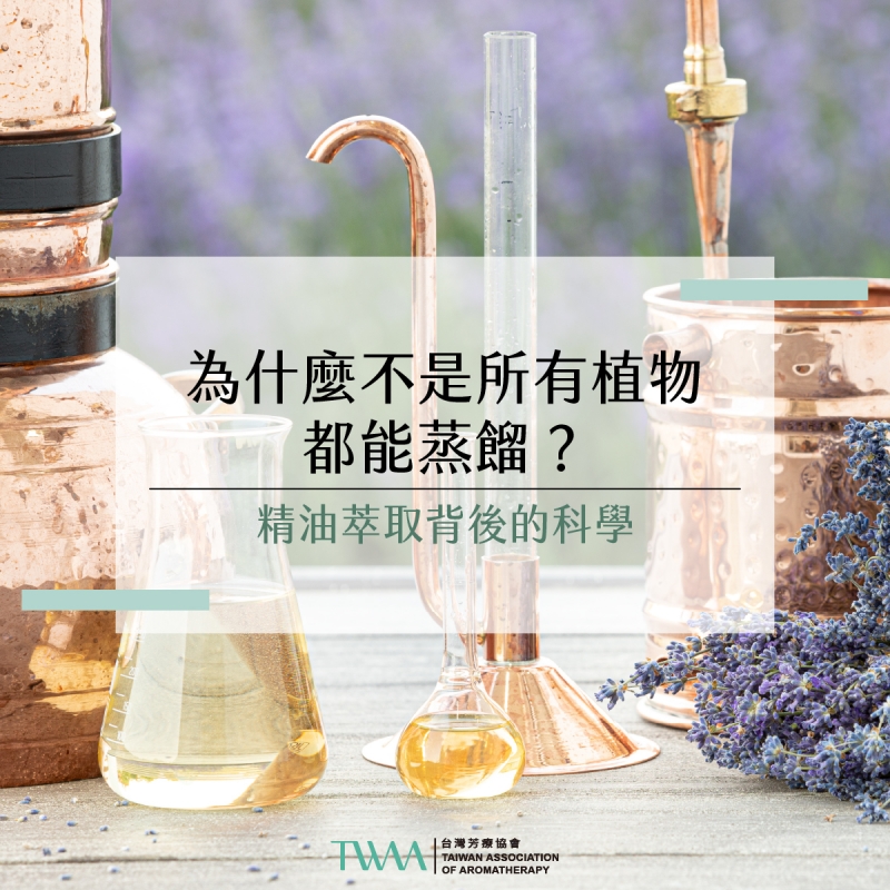 為什麼不是所有植物都能蒸餾？精油萃取背後的科學