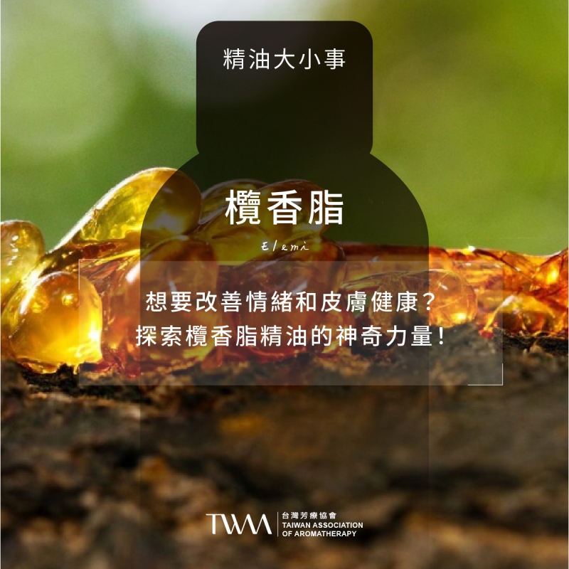 想要改善情緒和皮膚健康？探索欖香脂精油的神奇力量！