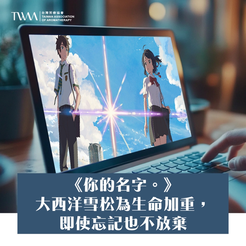 《你的名字。》：大西洋雪松為生命加重，即使忘記也不放棄