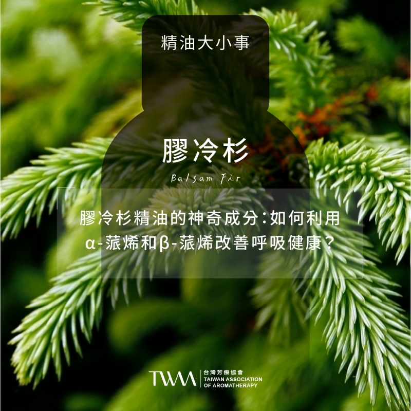 膠冷杉精油的神奇成分：如何利用α-蒎烯和β-蒎烯改善呼吸健康？