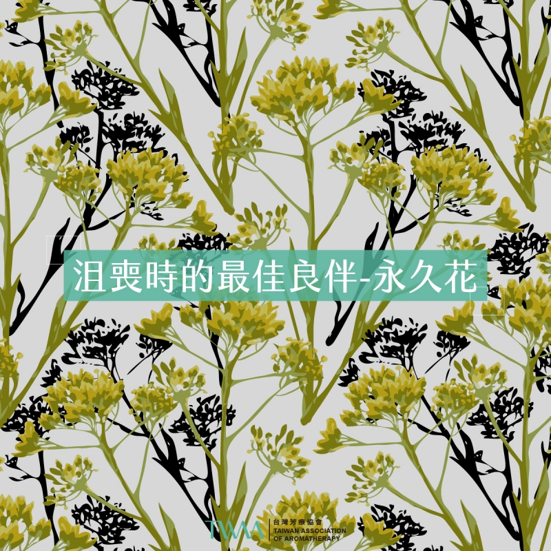 沮喪時的最佳良伴 永久花精油