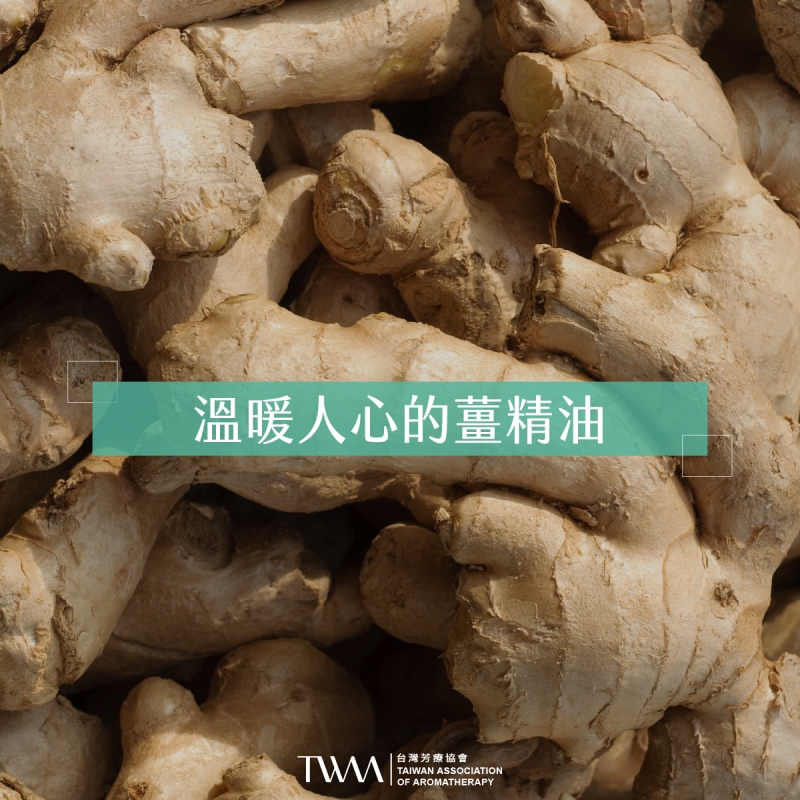 溫暖人心的薑精油