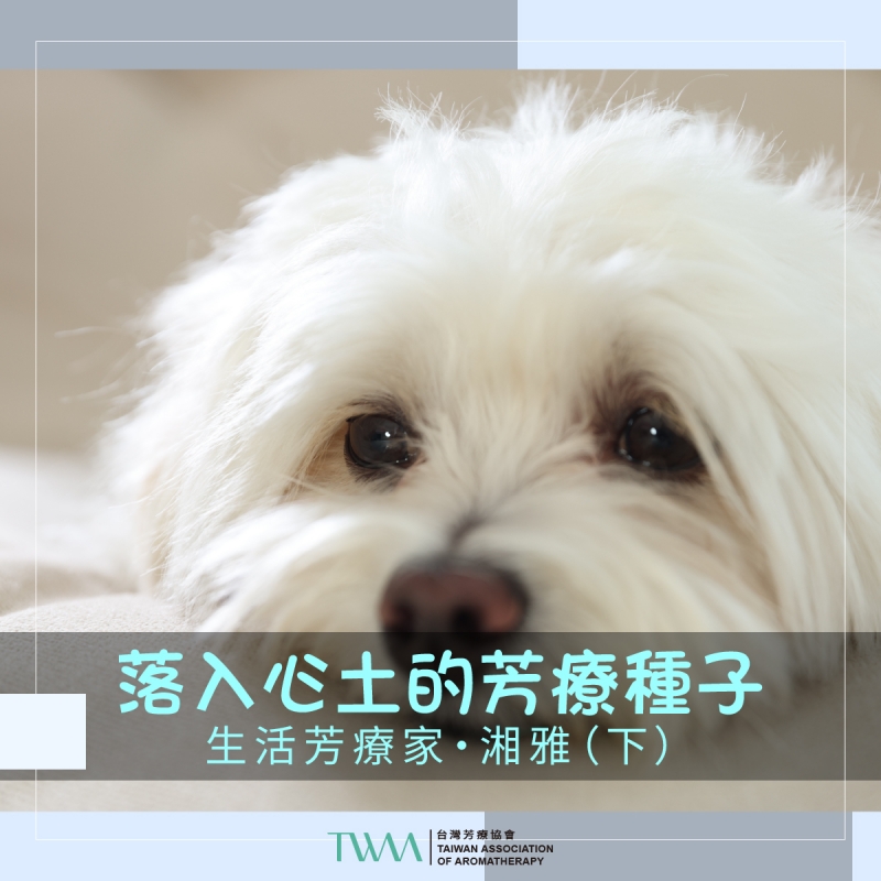 落入心土的芳療種子（下）　生活芳療家・湘雅