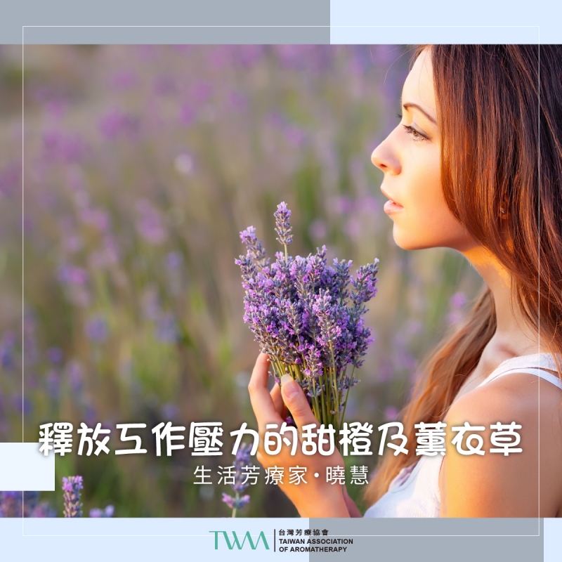 釋放工作壓力的甜橙及薰衣草 　生活芳療家・曉慧
