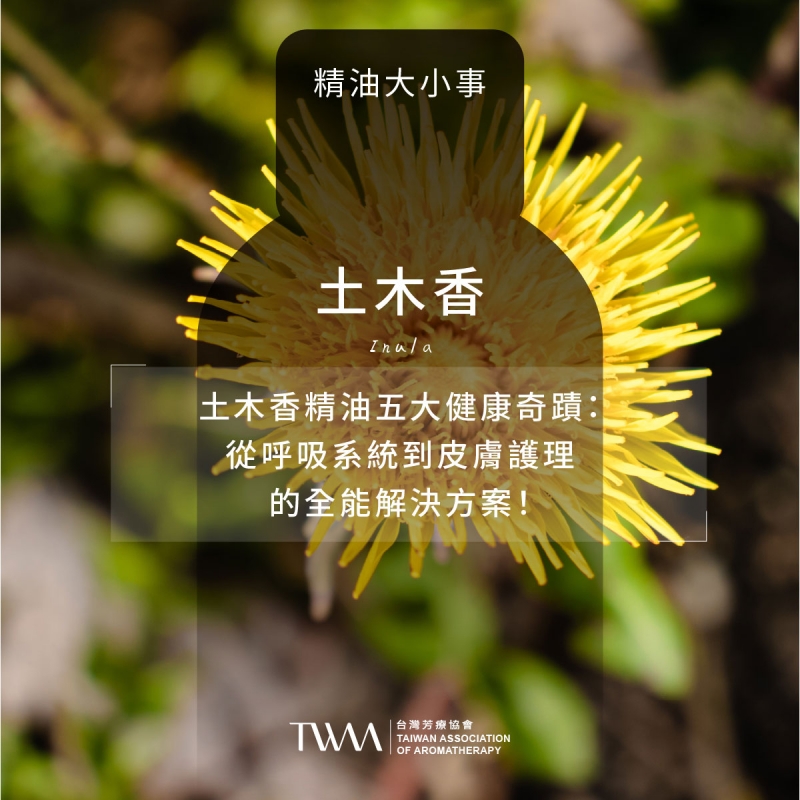 土木香精油五大健康奇蹟：從呼吸系統到皮膚護理的全能解決方案！