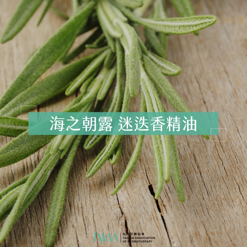海之朝露 迷迭香精油