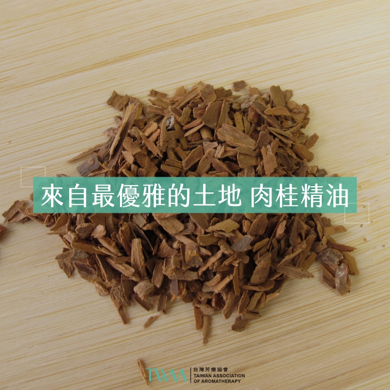 來自最優雅的土地 肉桂精油