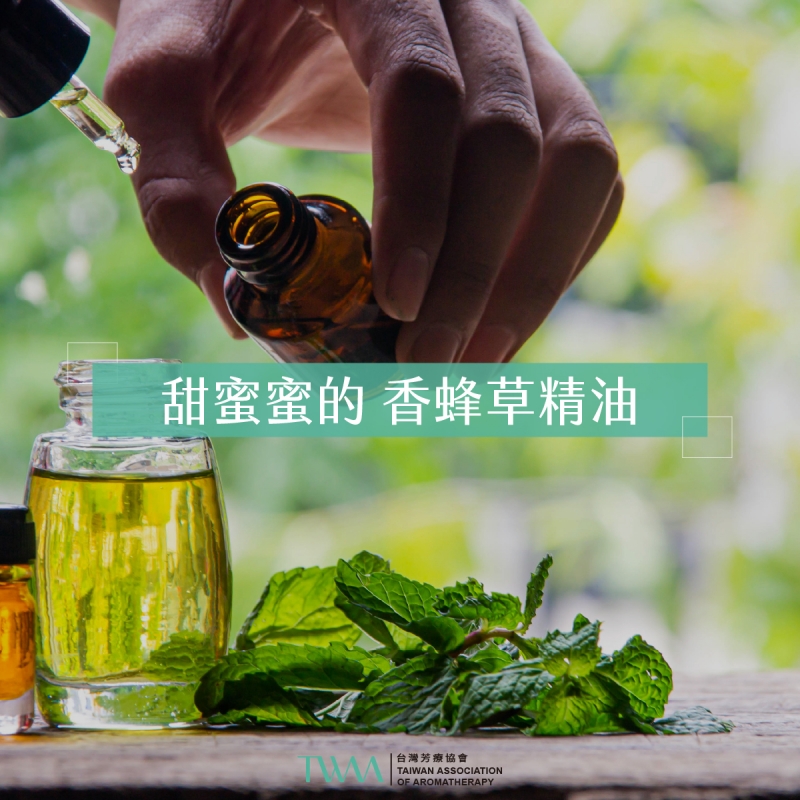 甜蜜蜜的 香蜂草精油