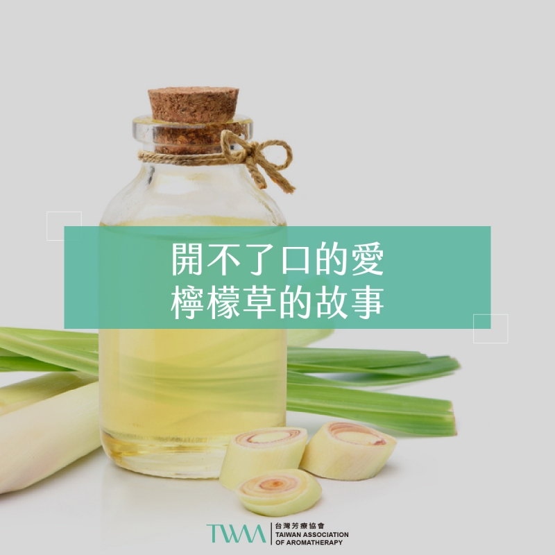 開不了口的愛 檸檬草的故事