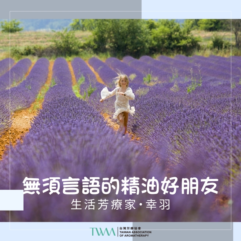 無須言語的精油好朋友 　生活芳療家・幸羽