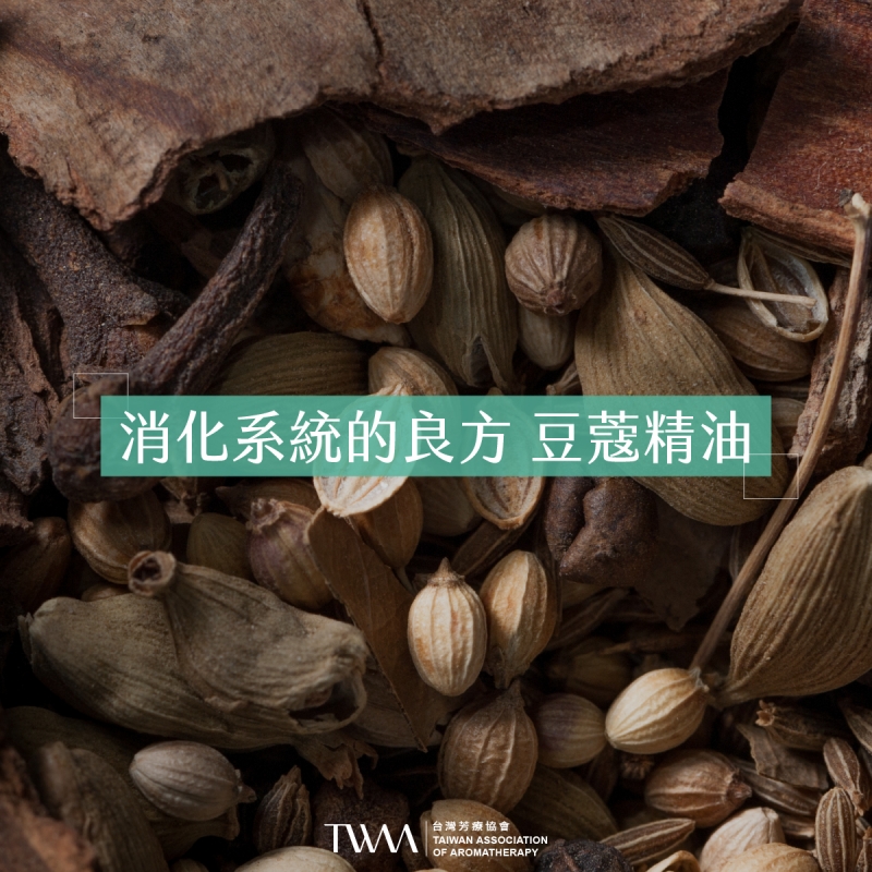 消化系統的良方 豆蔻精油