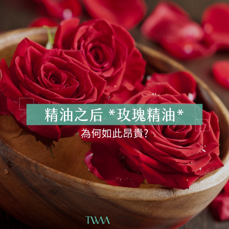 精油之后 *玫瑰精油* 為何如此昂貴?