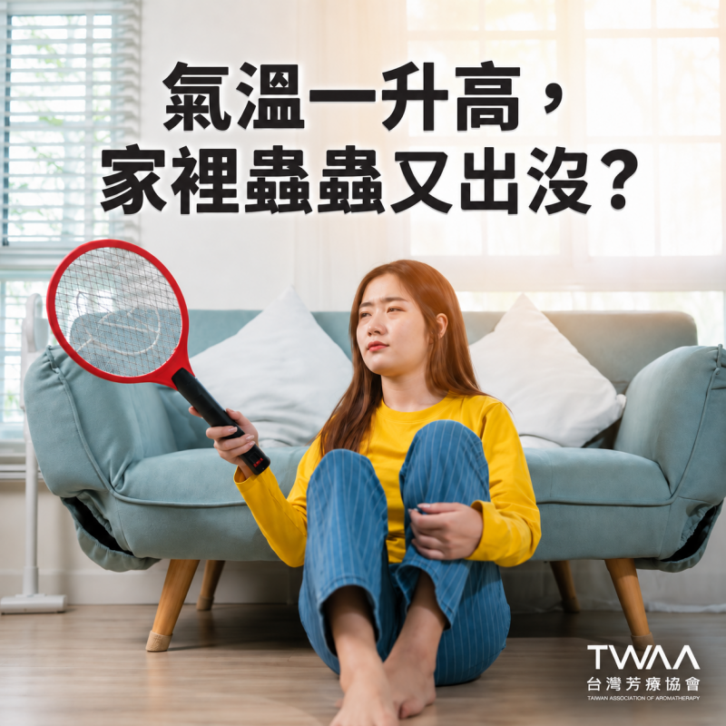 《2026/07/03 媒體報導》氣溫飆升，廚房角落總有黑影竄動？芳療專家傳授 5 款「隱形植物結界」，用純淨香氣優雅找回居家寧靜