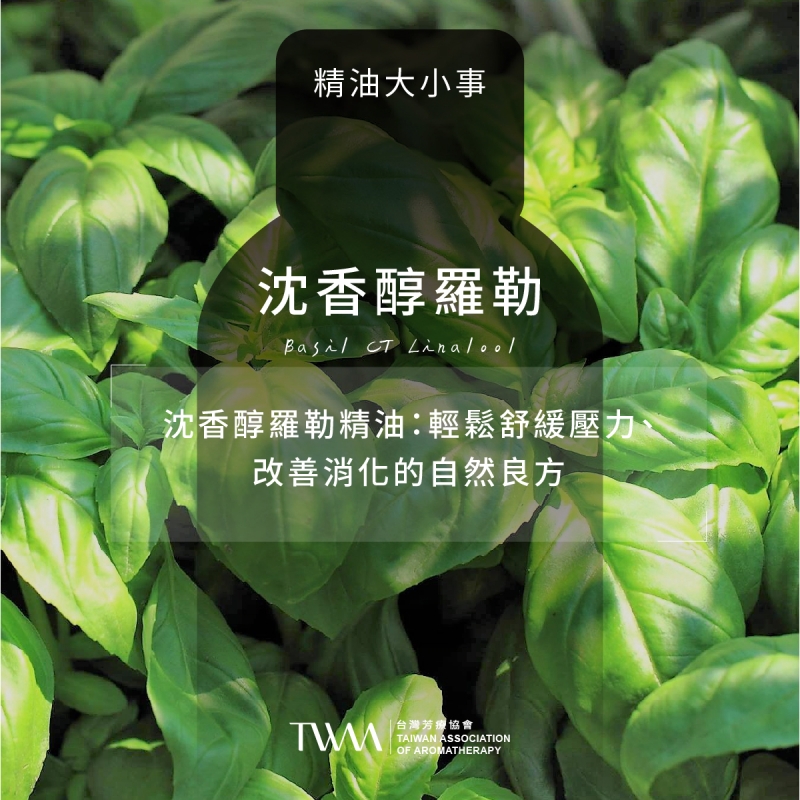 沈香醇羅勒精油：輕鬆舒緩壓力、改善消化的自然良方