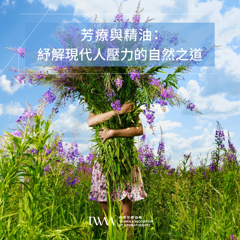 芳療與精油：紓解現代人壓力的自然之道