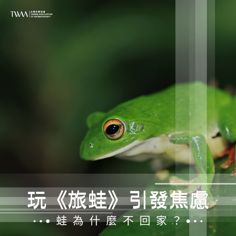 玩《旅蛙》引發焦慮，蛙為什麼不回家？