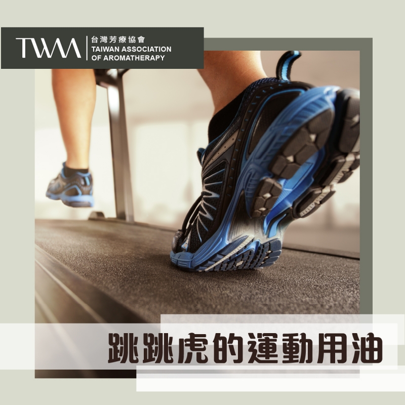 ​跳跳虎的運動用油