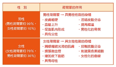 男性也有生理期? 芳療法對症男性生理週期與困擾處方TWAA台灣芳療協會