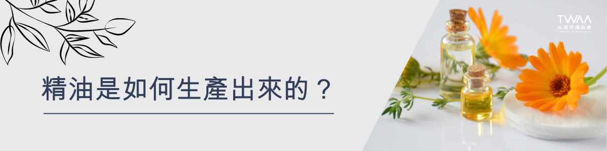 twaa台灣芳療協會_2024年最新40大知名人氣精油品牌專業性評比排名推薦_精油是如何生產出來的