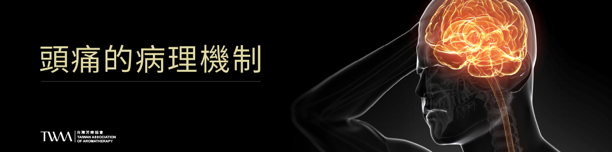 TWAA_身心芳療_芳療保健_芳香療法與精油 - 舒緩頭痛的自然之道_3.jpg