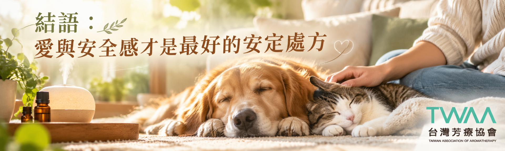 寵物分離焦慮安撫與安全感建立