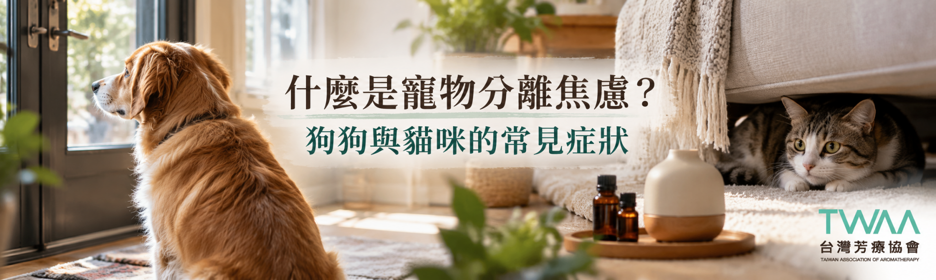 寵物分離焦慮與狗狗貓咪常見症狀